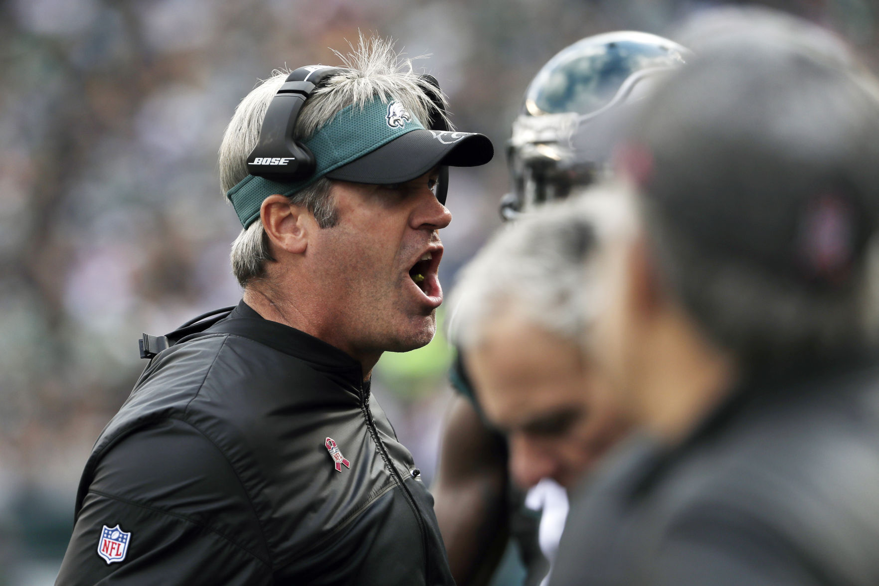 Vikings Eagles Football
